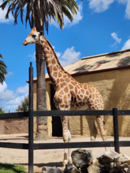 Adelaide_Zoo_2