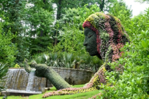 Atlanta Botanical Garden