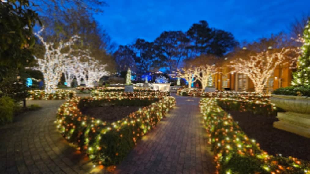 Atlanta_Botanical_Garden_3