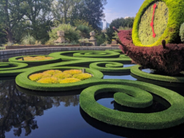 Atlanta_Botanical_Garden_6