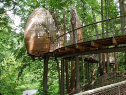 Fernbank Museum 3D Theater Forest