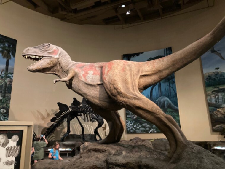 Atlanta_Fernbank_Museum_4