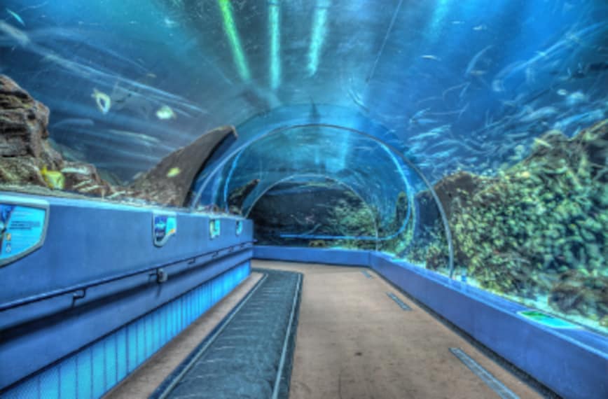 Atlanta_Georgia_Aquarium_1