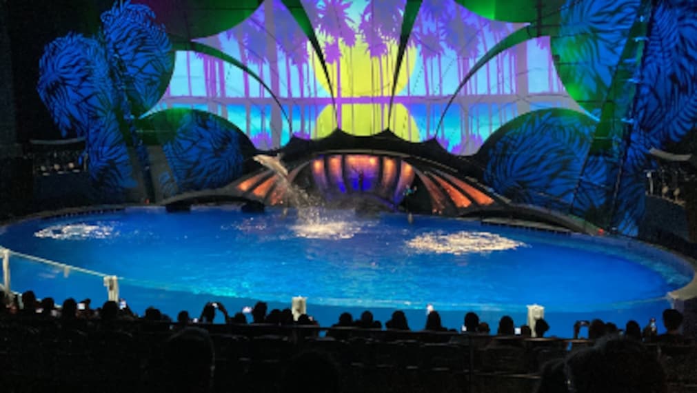 Atlanta_Georgia_Aquarium_4