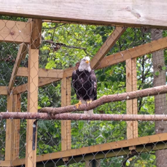 Atlanta_Zoo_Atlanta_3