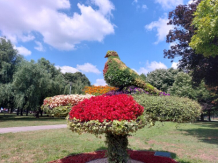 Belgrade_Ada_Ciganlija_5