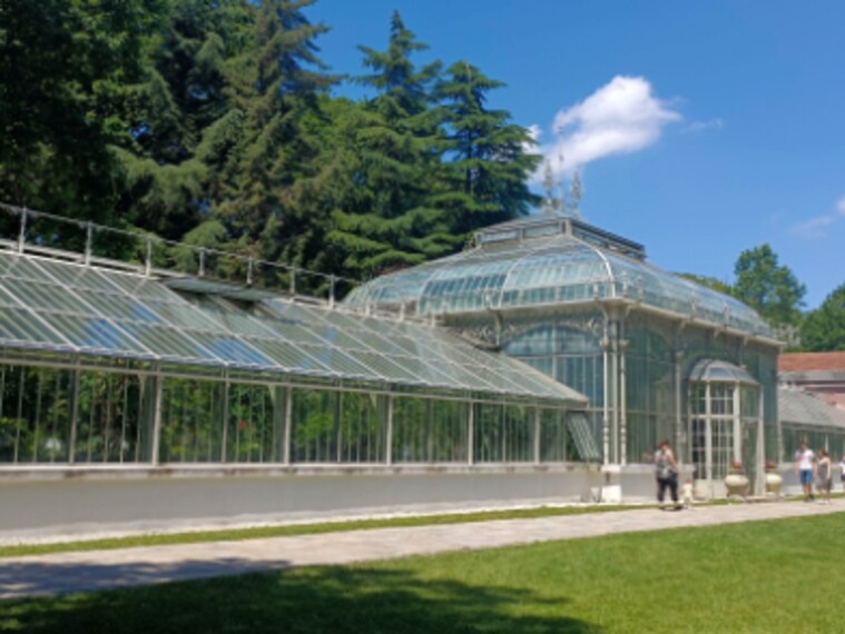 Belgrade_Botanical_Garden_Jevremovac_2