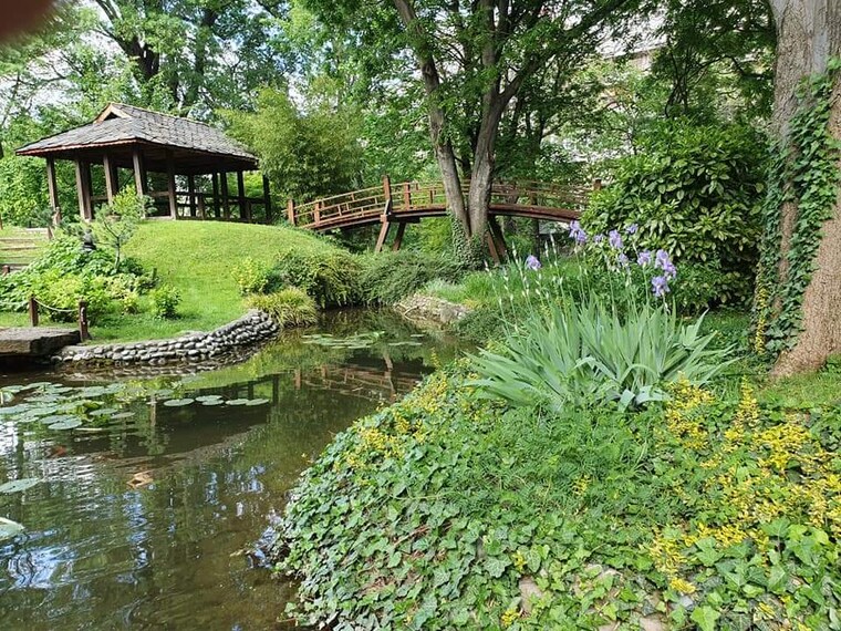 Belgrade_Botanical_Garden_Jevremovac_3