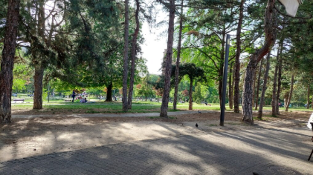 Belgrade_Tasmajdan_2