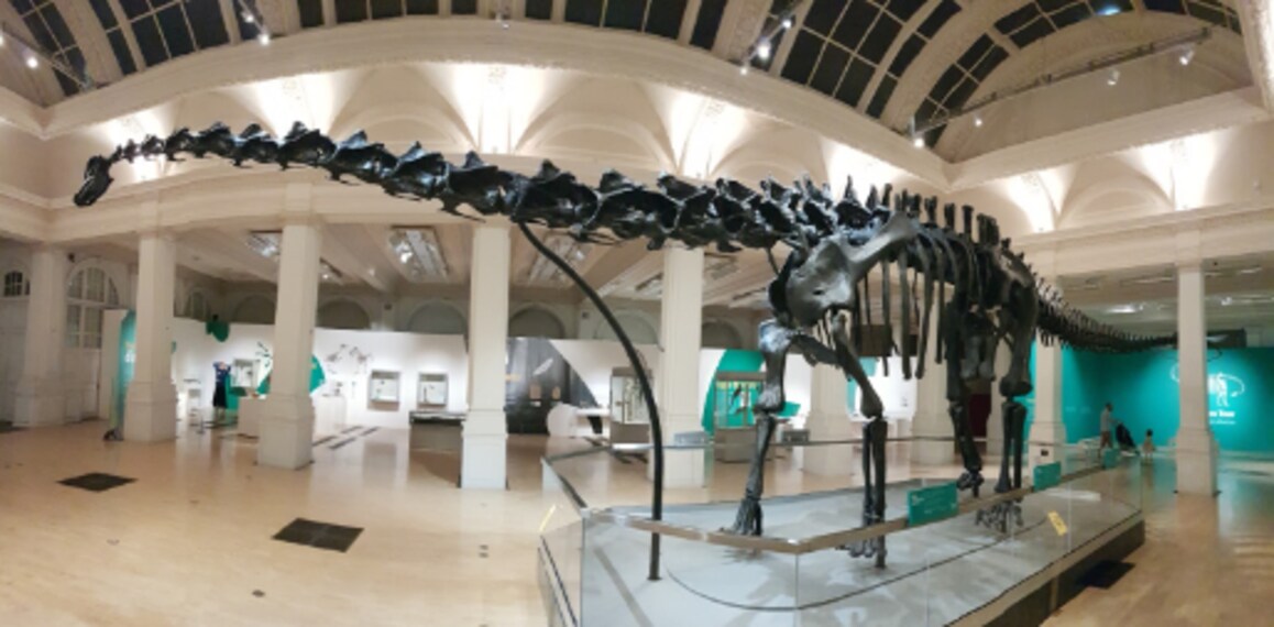 Birmingham_Birmingham_Museum_&_Art_Gallery_4