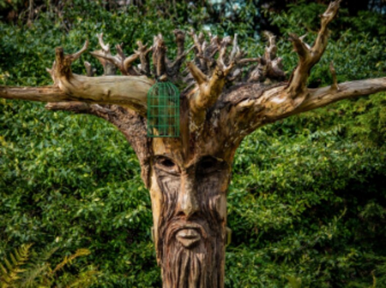 Birmingham_Birmingham_Wildlife_Conservation_Park_4