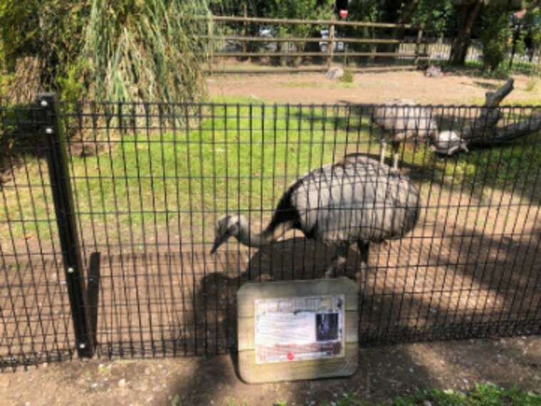 Birmingham_Birmingham_Wildlife_Conservation_Park_5