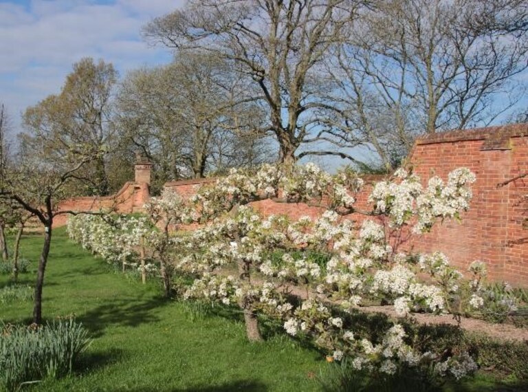 Birmingham_Castle_Bromwich_Historic_Gardens_1