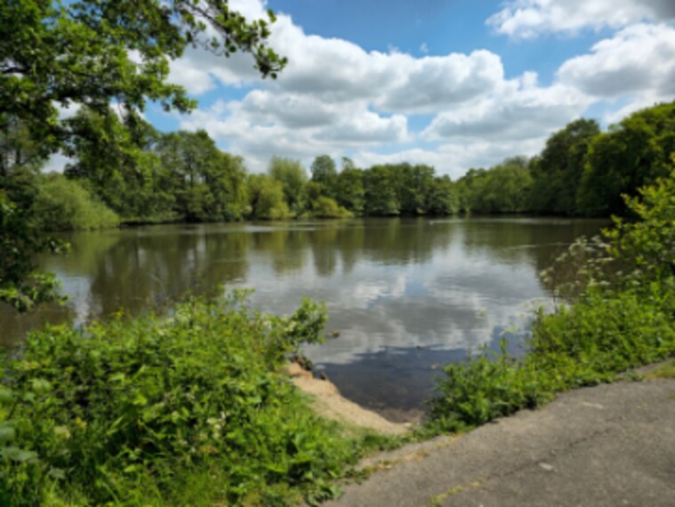 Birmingham_Elmdon_Park_2