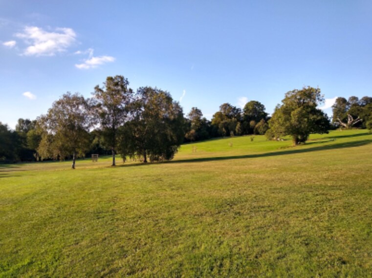 Birmingham_Elmdon_Park_3