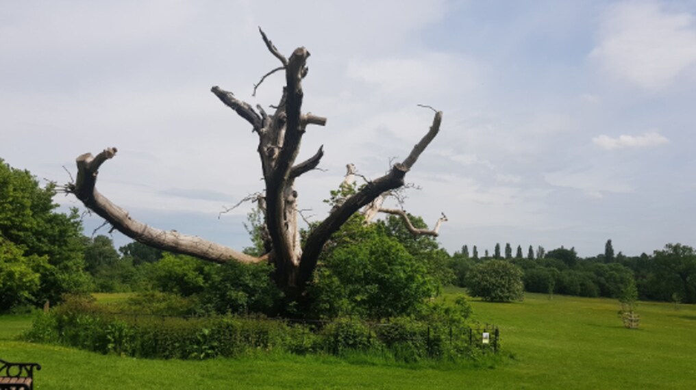 Birmingham_Elmdon_Park_4