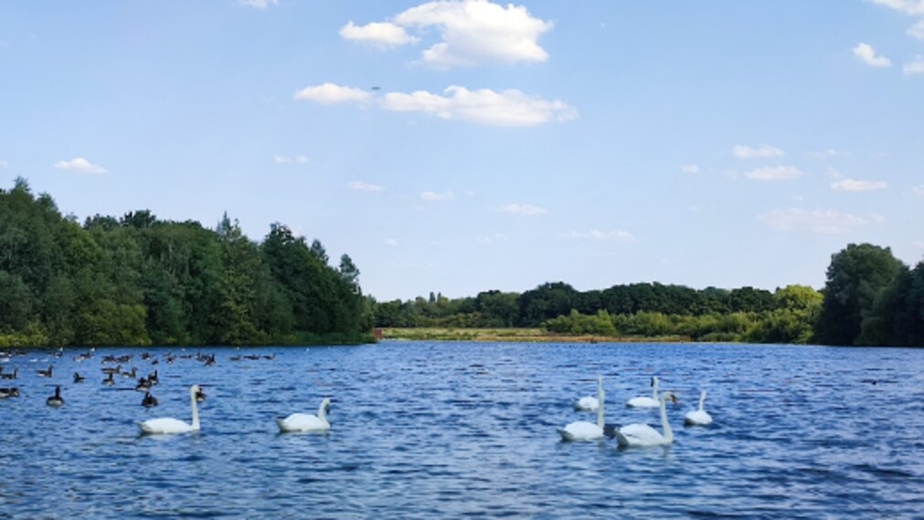 Birmingham_Forge_Mill_Farm_5