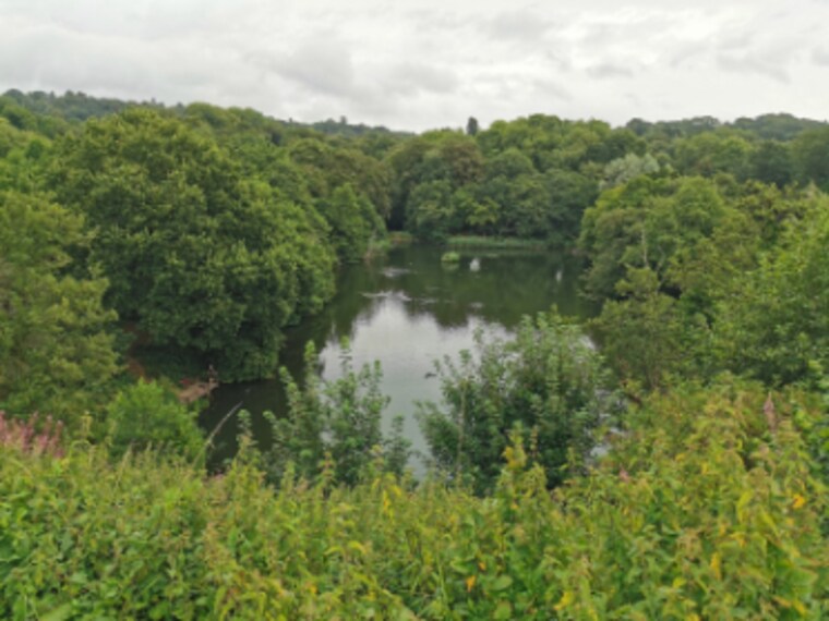 Birmingham_Leasowes_Park_1