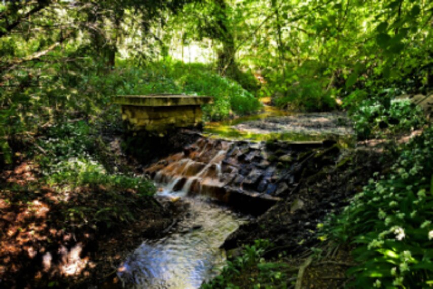 Birmingham_Leasowes_Park_2