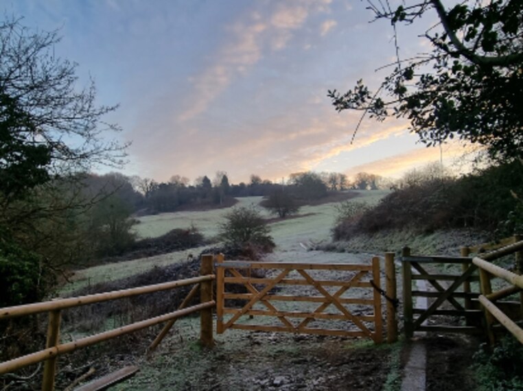 Birmingham_Leasowes_Park_3