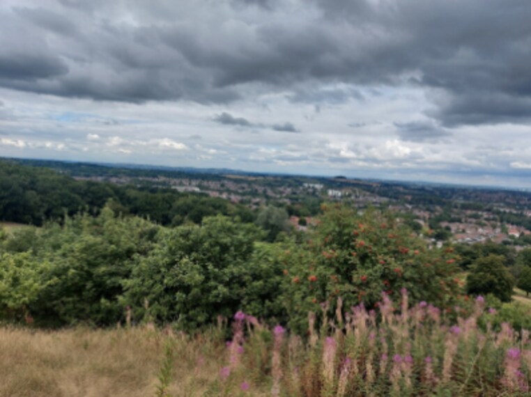Birmingham_Lickey_Hills_Country_Park_2