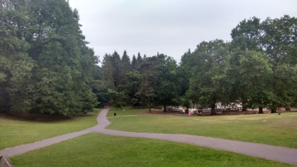 Birmingham_Lickey_Hills_Country_Park_4