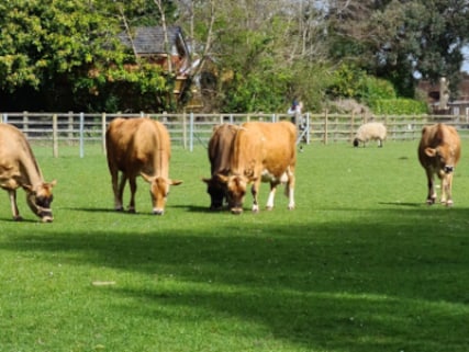 Sheldon Country Park & Old Rectory Farm