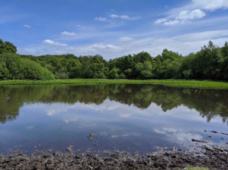 Birmingham_Sutton_Park_2