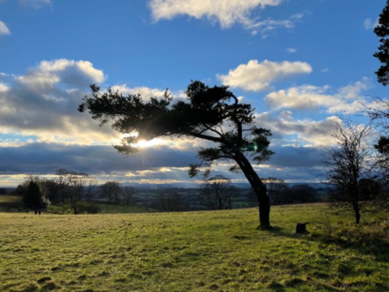 Birmingham_Waseley_Hills_Country_Park_9