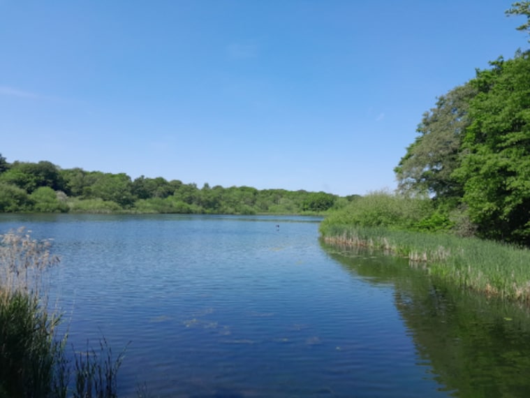 Birmingham_Winterbourne_House_&_Garden_5