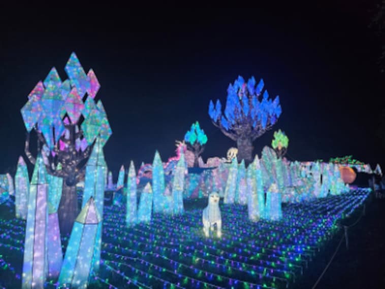 Boston_Franklin_Park_Zoo_10