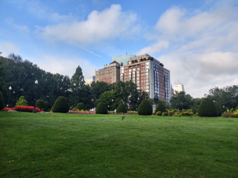 Boston_Public_Garden_10