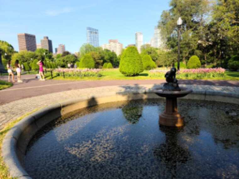 Boston_Public_Garden_3