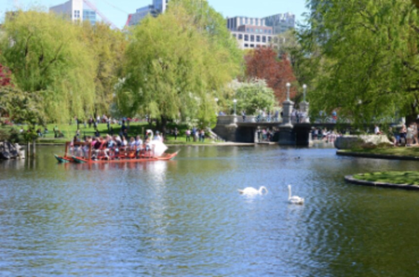 Boston_Public_Garden_8