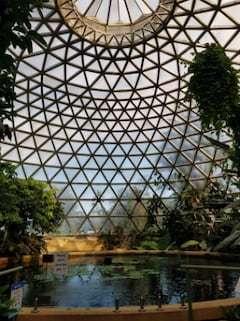 Brisbane Botanic Gardens Mt Coot tha