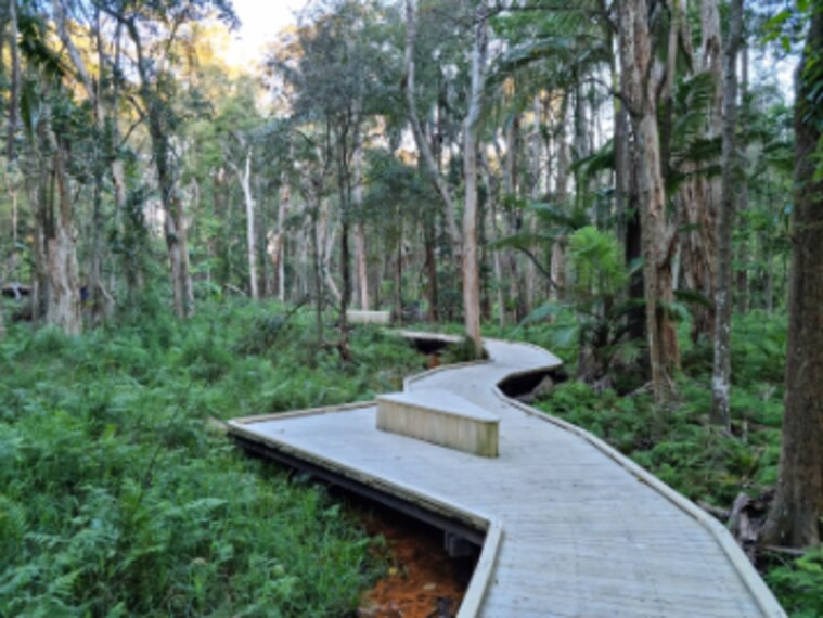 Brisbane_Daisy_Hill_Conservation_Park_2