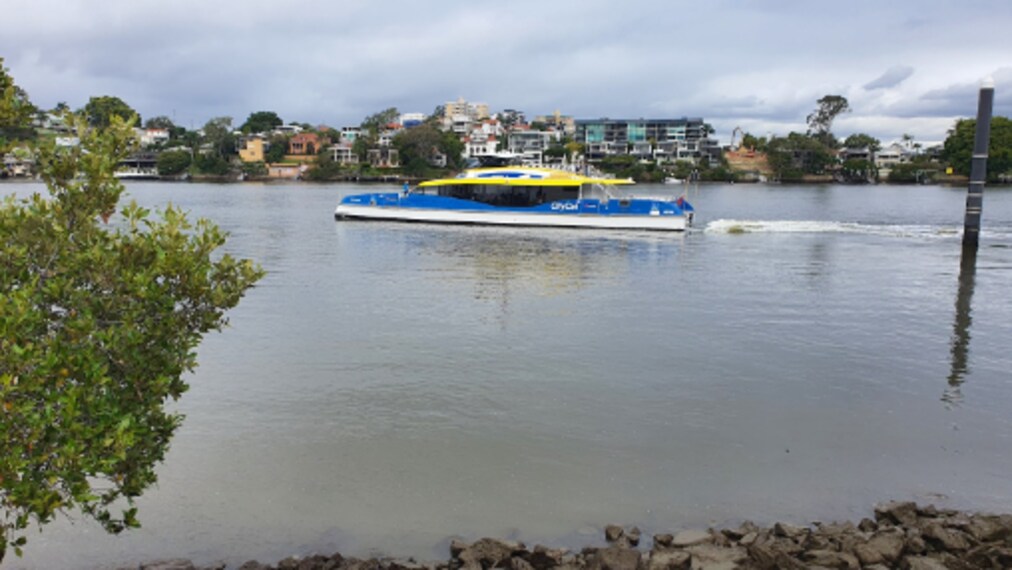 Brisbane_New_Farm_Park_10