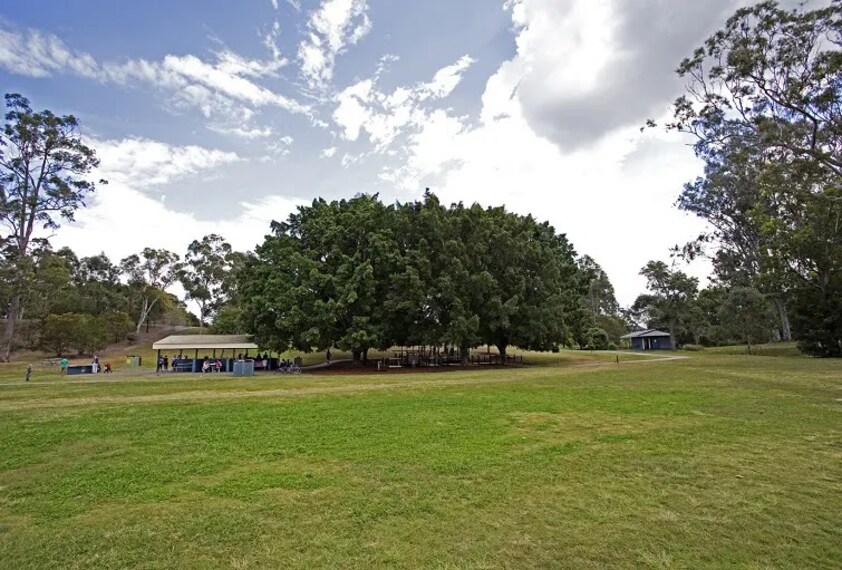 Brisbane_Sherwood_Arboretum_2