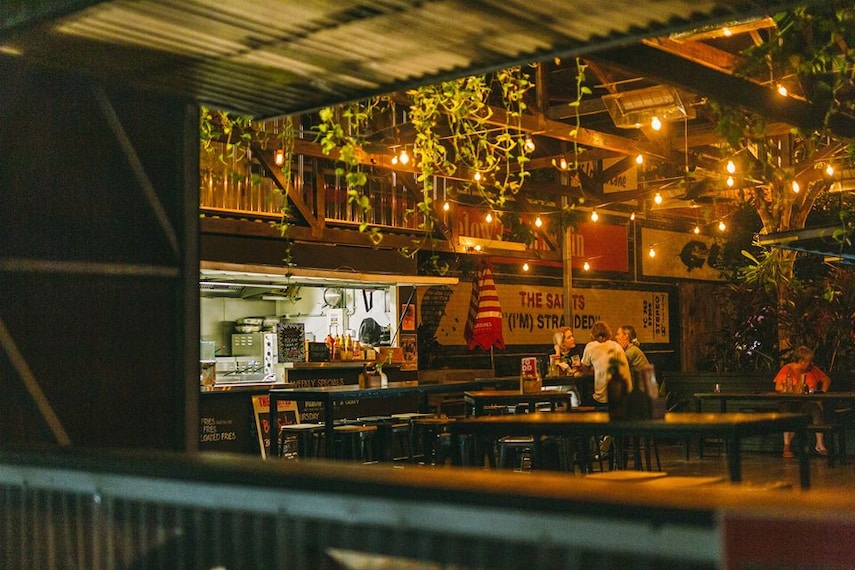 Brisbane_The_Triffid_1