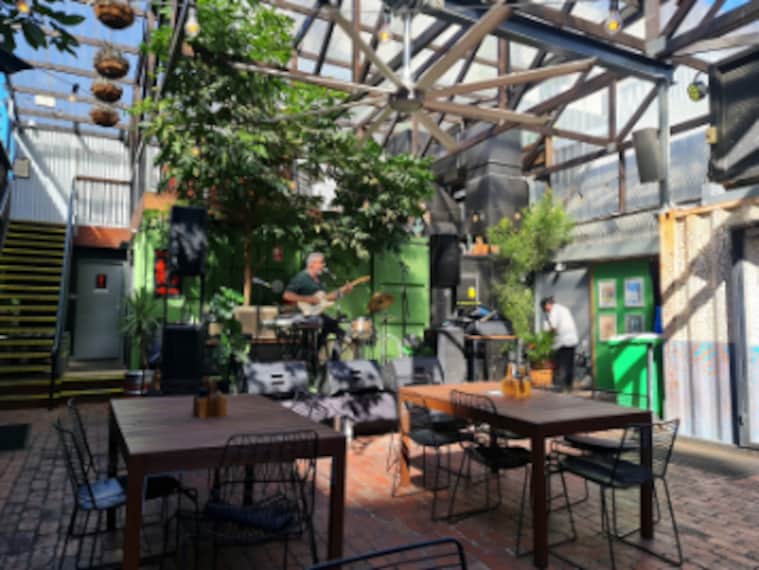 Brisbane_The_Triffid_3