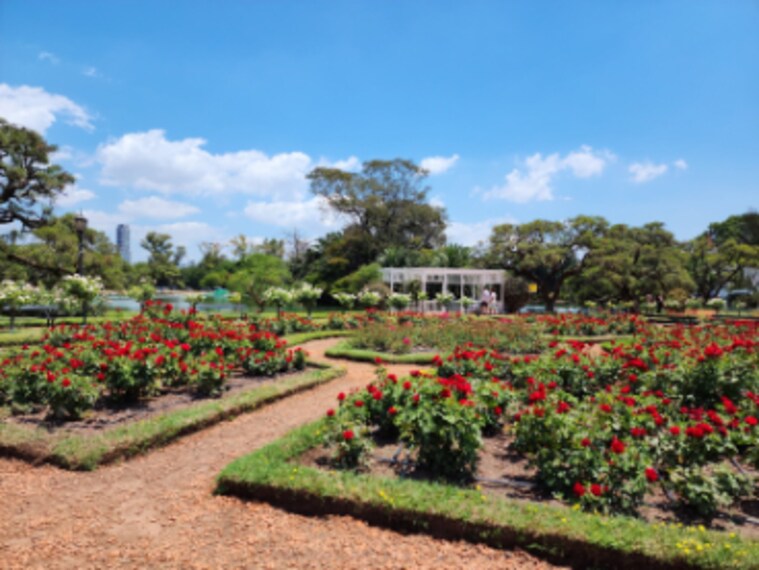Buenos_Aires_Paseo_El_Rosedal_Garden_2