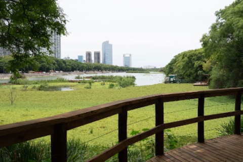 Reserva Ecologica Costanera Sur