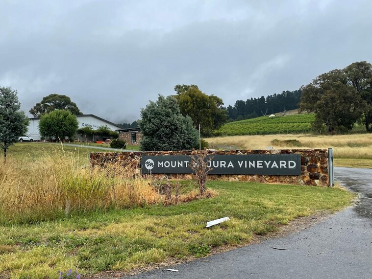 Canberra_Mount_Majura_Vineyard_5