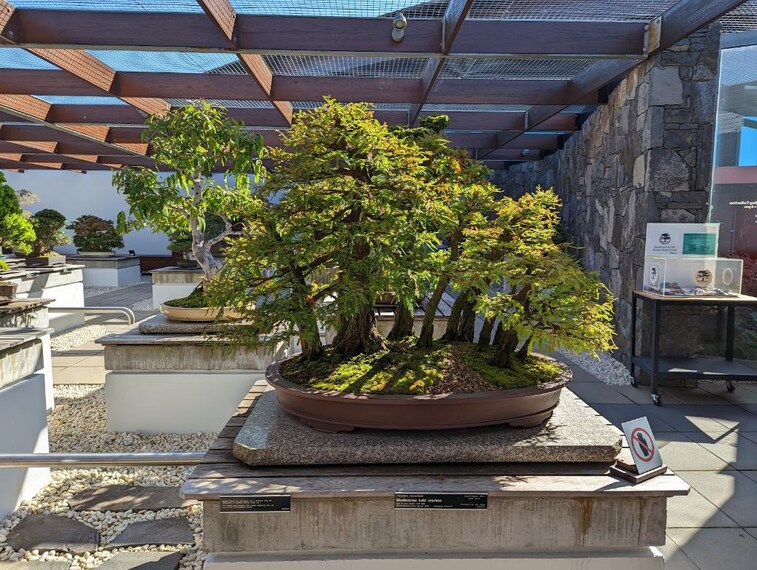 Canberra_National_Arboretum_Canberra_2