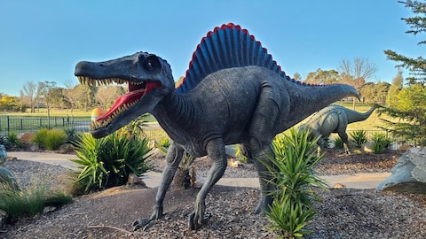 National Dinosaur Museum