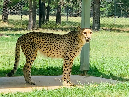 National Zoo & Aquarium