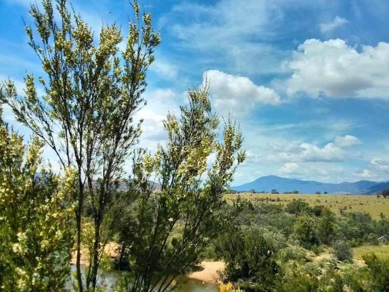 Canberra_Rafting_at_Murrumbidgee_River_2