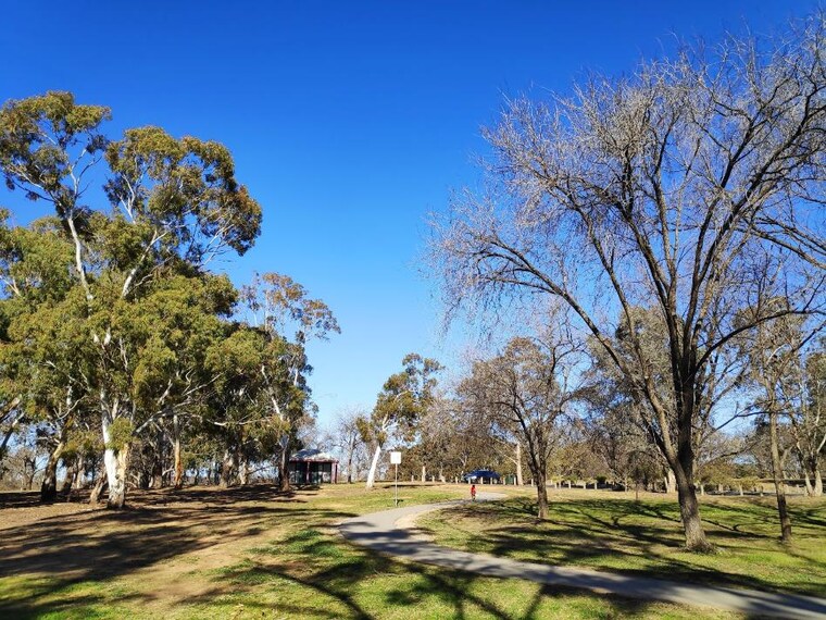 Canberra_Weston_Park_4