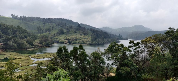 Masinagudi_destination_image_3