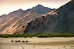 Nubra_Valley_destination_main_4